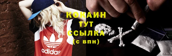 соль курить ск Верхний Тагил
