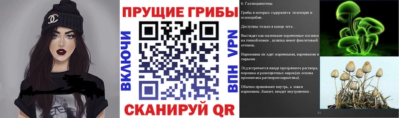 Купить  Усолье  Галлюциногенные грибы мухоморы 